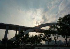 卢浦大桥图片