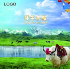 雪山西藏牦牛肉松包装图片