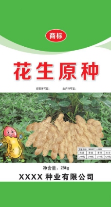 孩子花生原种图片