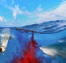 潜泳 大白鲨图片