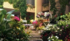 洋房精美别墅花园图片
