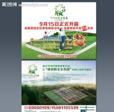 地产农业绿色宣传单图片