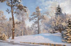 树木冬季雪地大路图片