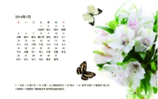 2014百合蝴蝶日历图片