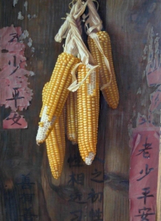 静物画玉米图片