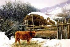 木柴牛栏图片