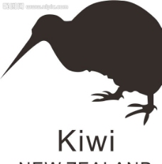 新西兰kiwi图片