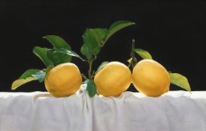 水果果实liuy0000038xl水果疏菜静物油画超写实主义油画静物