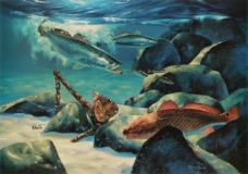 鍔ㄧ墿 (50)高清西方画家写实动物油画印象派油画装饰画背景墙