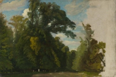 Paul Huet - Trees in the Park at Saint-Cloud大师画家古典画古典建筑古典景物装饰画油画