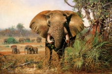 动物画鍔墿7高清西方画家写实动物油画印象派油画装饰画背景墙