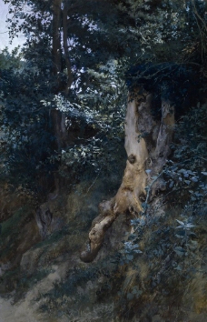 Jimenez Aranda, Jose - Old Tree Trunk, 1885大师画家古典画古典建筑古典景物装饰画油画