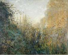 Claude Monet - The Reeds (study).jpeg大师画家风景画静物油画建筑油画装饰画