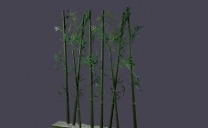 景观设计景观绿色竹子模型效果图片