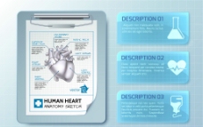 医疗与解剖医疗和心脏解剖图片