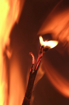 篝火火苗图片