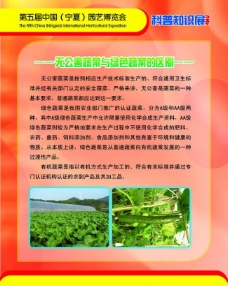 绿色蔬菜农业健康知识展板图片