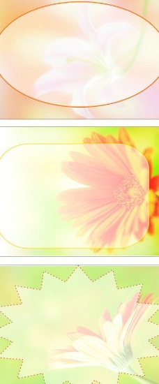 花朵展版背景图片