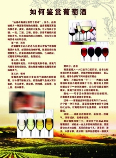 葡萄酒展板图片