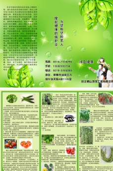 绿色蔬菜绿色背景有机蔬菜宣传图片