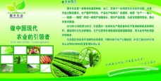 绿色蔬菜蔬菜宣传展板图片