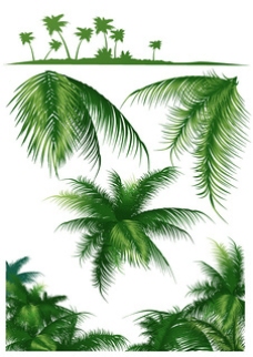 绿色叶子椰子树叶