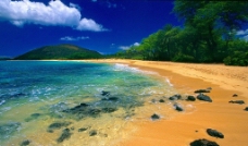 夏威夷黄金海滩图片