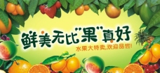 水果广告