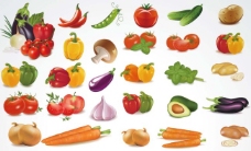 日常蔬菜日常生活水果蔬菜矢量素材