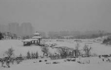 文登峰山公园雪景图片