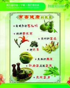 绿色蔬菜蔬菜展板图片
