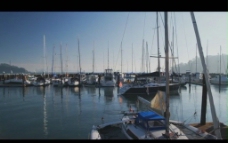 渔港背景视频素材